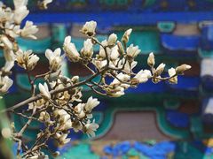 -天坛公园
