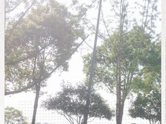 -铁山坪森林公园