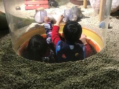 -萌宠奇缘