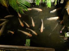 门面-Cuc Gach Quan Restaurant
