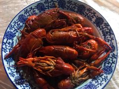 -龙小海荆沙鸽子店(瑞安街店)