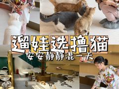 -飞行喵MR PILOT|猫舍·猫咖(静安大融城店)