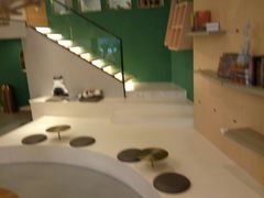 -飞行喵MR PILOT|猫舍·猫咖(静安大融城店)
