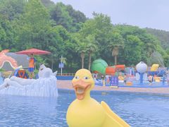 -重庆海昌加勒比海水世界