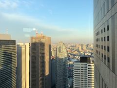 -东京都厅舍