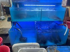 -韩妹鱼庄·泸定老字号(泸定店)