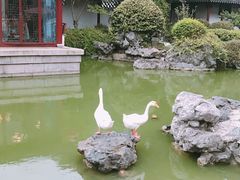 -祝家花園(伯渎港店)