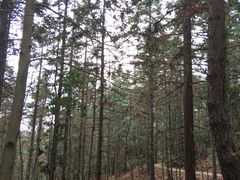 -四明山国家森林公园