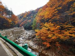 -光雾山十八月潭风景区-售票处