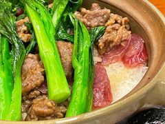 -正佳雨林生态植物园