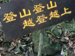-七仙岭温泉国家森林公园