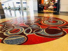 -达拉斯 沃斯堡国际机场