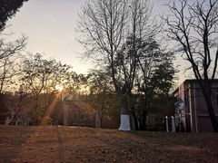 -大连理工大学(凌水校区)