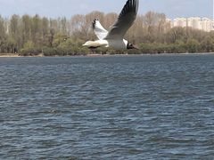 -人民防洪胜利纪念塔