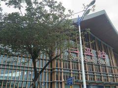 -呀诺达热带雨林
