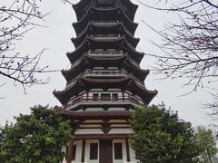 -洋湖国家湿地公园