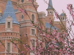 -上海迪士尼度假区