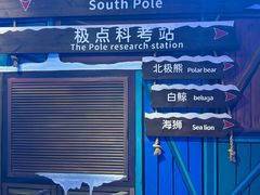 -海合安青岛极地海洋公园