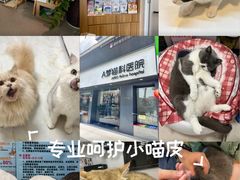 -御宝贝·A梦猫科宠物医院(国际猫友好医院)