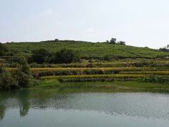 android_upload_pic-许家山
