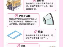 -守诺宠物医院·眼科· 特色牙科·异宠专科(虹口店)