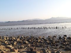 -深圳湾公园(南山区)