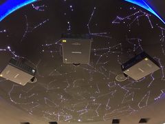 -贝林大翅鲸简餐厅(国家海洋博物馆店)