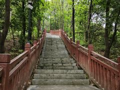 -南国桃园旅游度假区