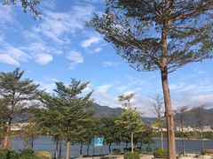 -飞来湖湿地公园