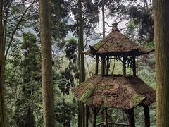 -青城山