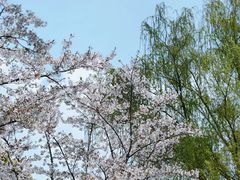 -尚贤河湿地
