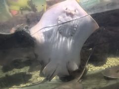 -南昌海洋公园