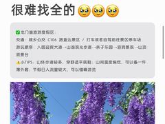 -日照海滨国家森林公园