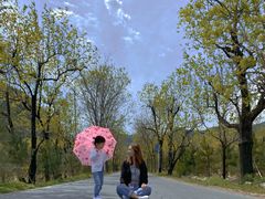 -碓臼峪自然风景区