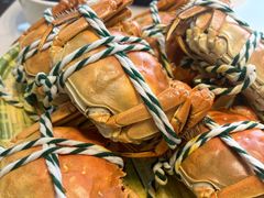 -蟹天蟹地农家菜·阳澄湖大闸蟹(浅水湾店)