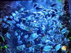 -海合安青岛极地海洋公园