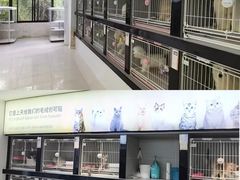 -翊宠yipet猫狗购宠庄园犬舍•猫舍