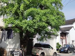 -东山风景区(洞庭东山)