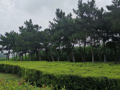 -蒲河岛湿地公园