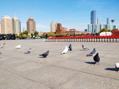 -大连人民广场