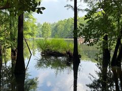 -尚湖风景区