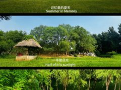 -北京野生动物园