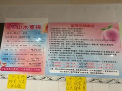 -老袁家蜜桃农场·阳山水蜜桃