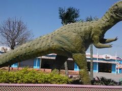 android_upload_pic-石家庄市植物园