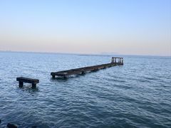 -贡湖湾湿地公园