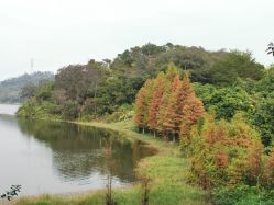 -佛灵湖水上乐园