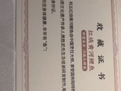 -阿五黄河大鲤鱼(英协路店)