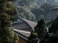 -缙云山景区