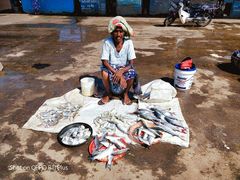 -尼甘布海鲜市场