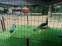 -宝岩生态观光园